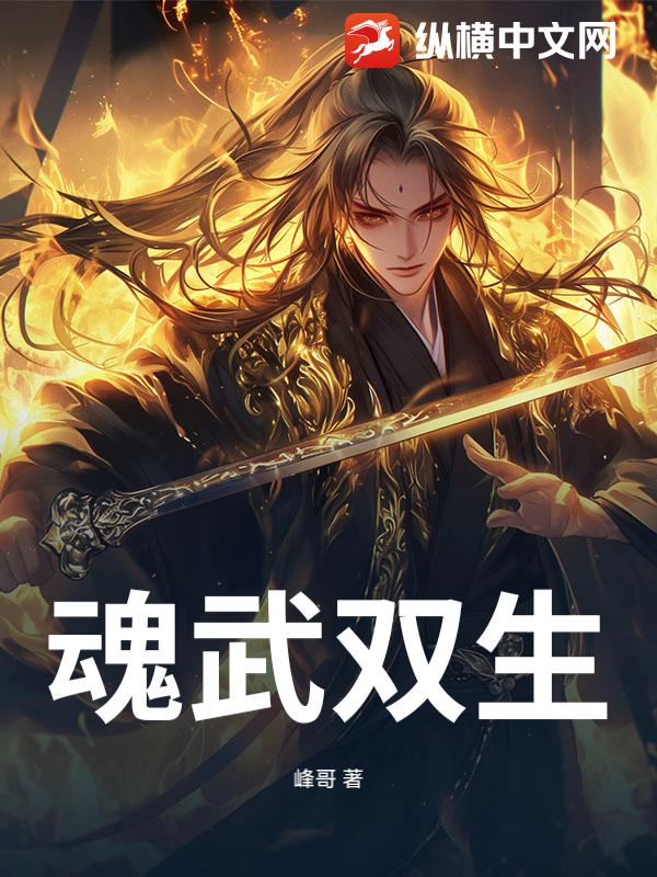 魂武双生